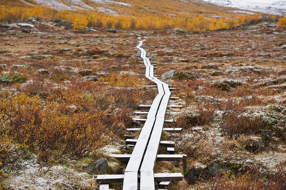 Kungsleden trail
